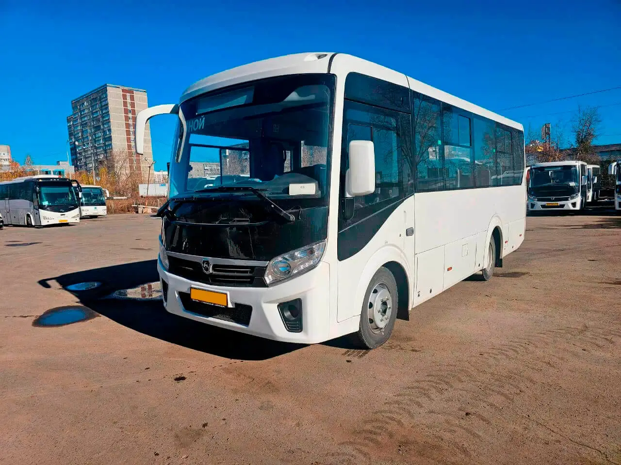 Аренда ПАЗ Вектор Next на 30 мест